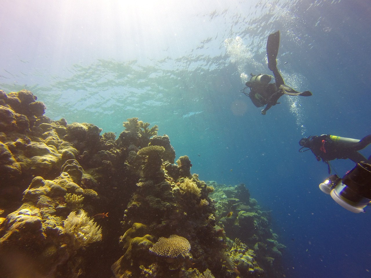 The Effects of Climate Change on Coral Reefs